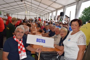 Županijski susret umirovljenika 16.06.2018 (17)